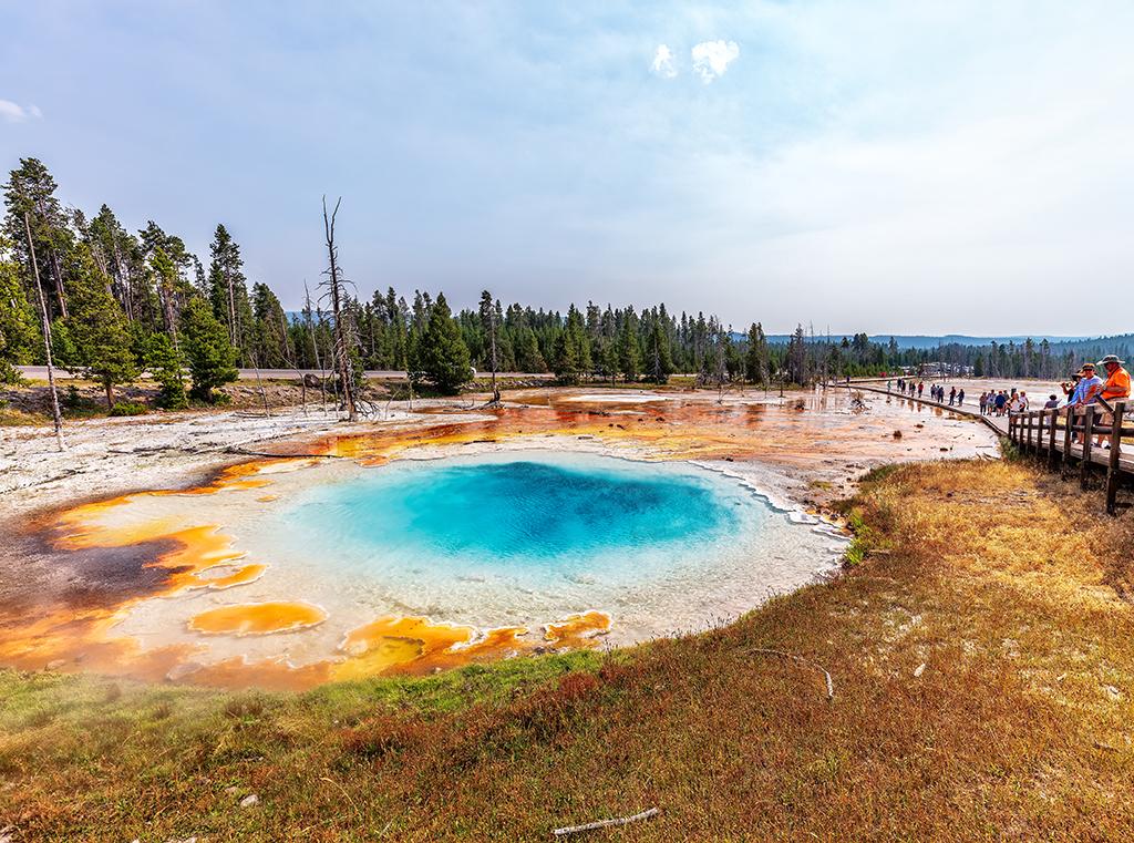 A view along the Fountain Paint Pots Nature Trail, Yellowstone National Park / Rebecca Latson