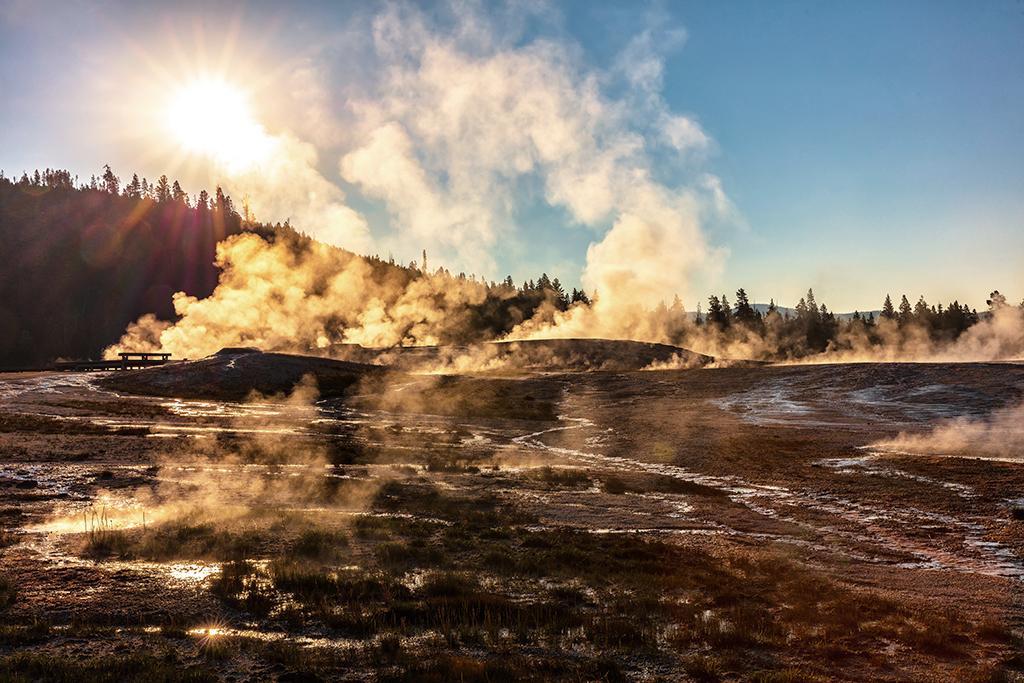 Morning light over Upper Geyser Basin, Yellowstone National Park / Rebecca Latson