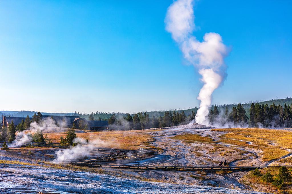 Thar she blows, Yellowstone National Park / Rebecca Latson