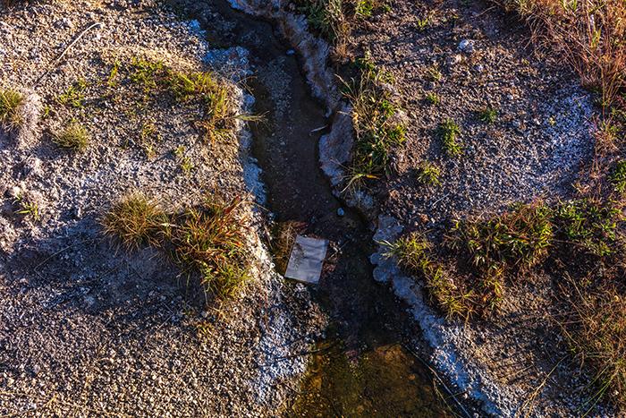 Paper receipt in a runoff stream, Upper Geyser Basin, Yellowstone National Park / Rebecca Latson