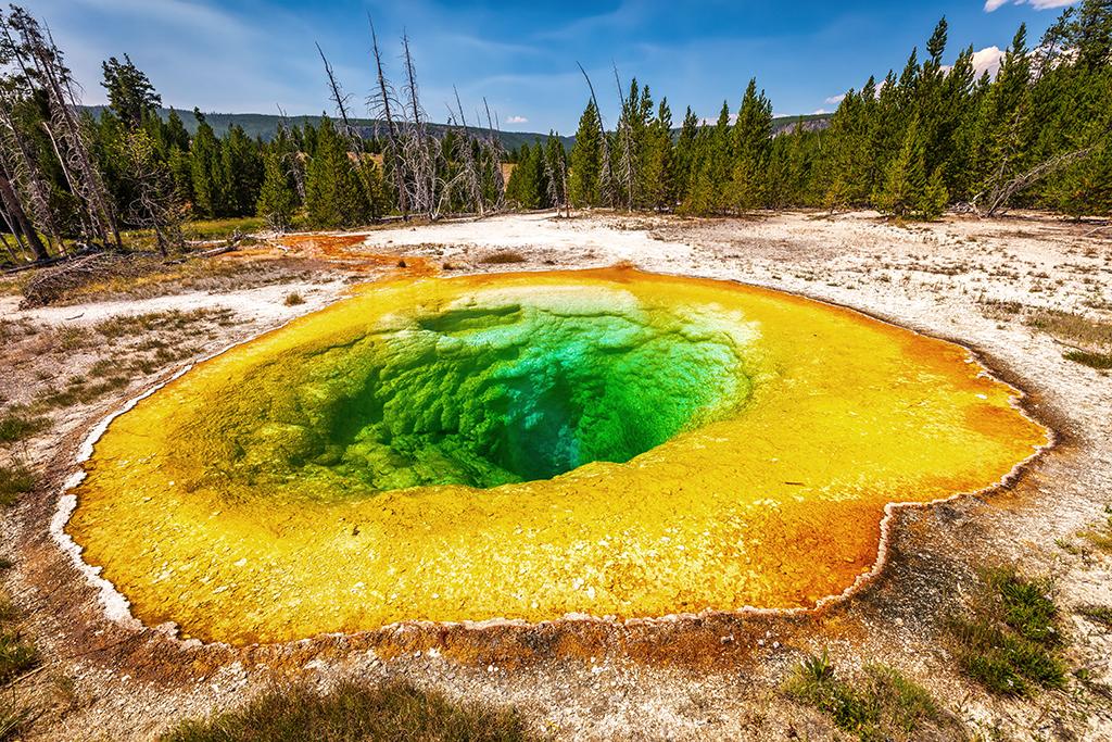 The brilliant colors of Morning Glory Pool, Upper Geyser Basin, Yellowstone National Park / Rebecca Latson