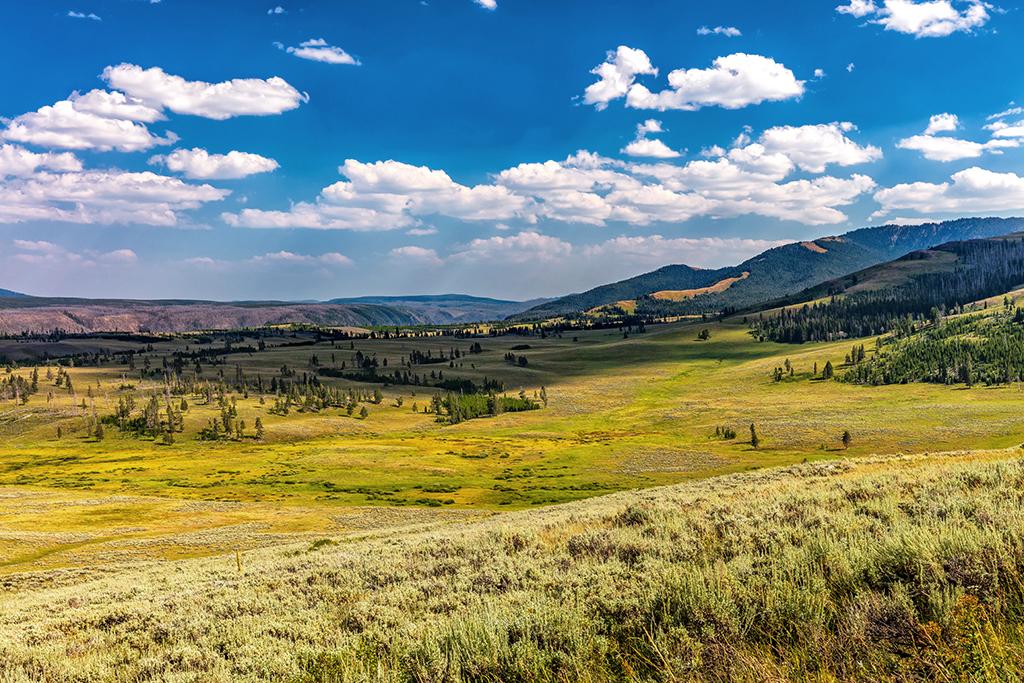 A land of mountains, valleys and undulating hills, Yellowstone National Park / Rebecca Latson