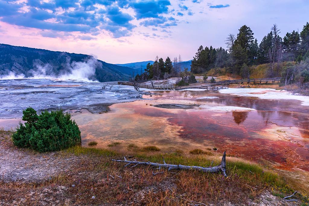 Morning scenery at Mammoth Hot Springs, Yellowstone National Park / Rebecca Latson