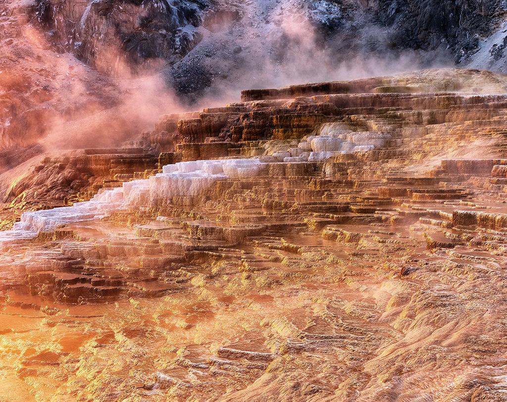 Sunrise gilding the terrace layers, Yellowstone National Park / Rebecca Latson