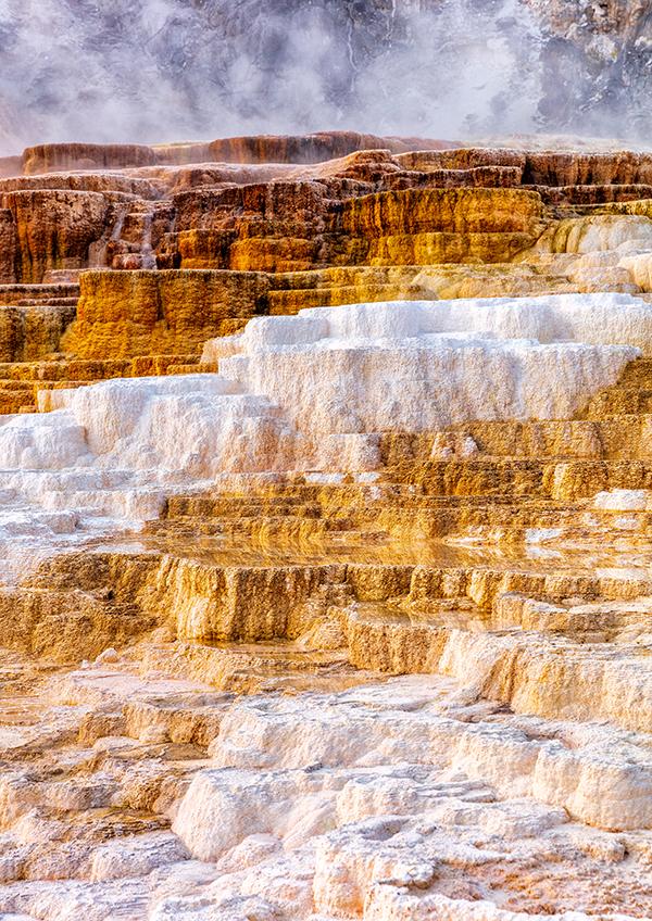 Terrace layers, Mammoth Hot Springs, Yellowstone National Park / Rebecca Latson