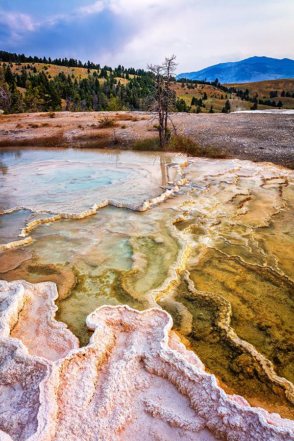 Mammoth Hot Springs Terraces, Yellowstone National Park / Rebecca Latson