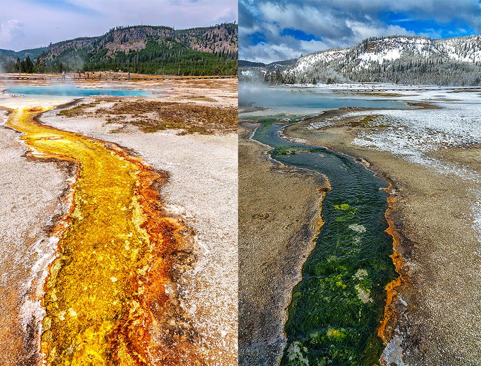 Summer and winter landscape changes at Biscuit Basin, Yellowstone National Park / Rebecca Latson