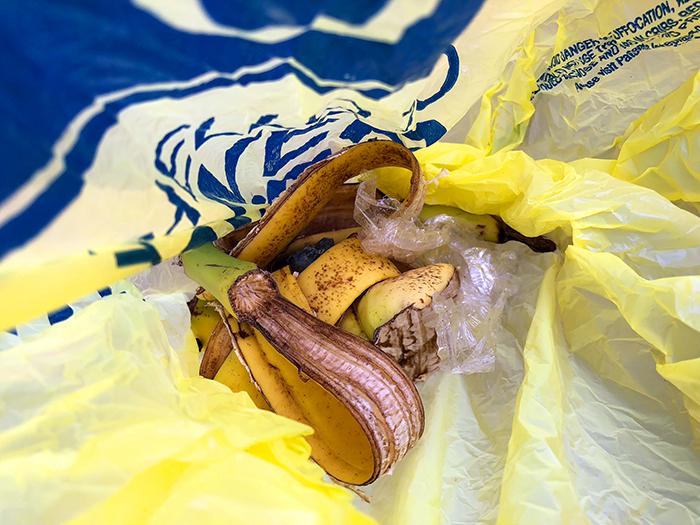 Litter the photographer picked up at Yellowstone National Park / Rebecca Latson