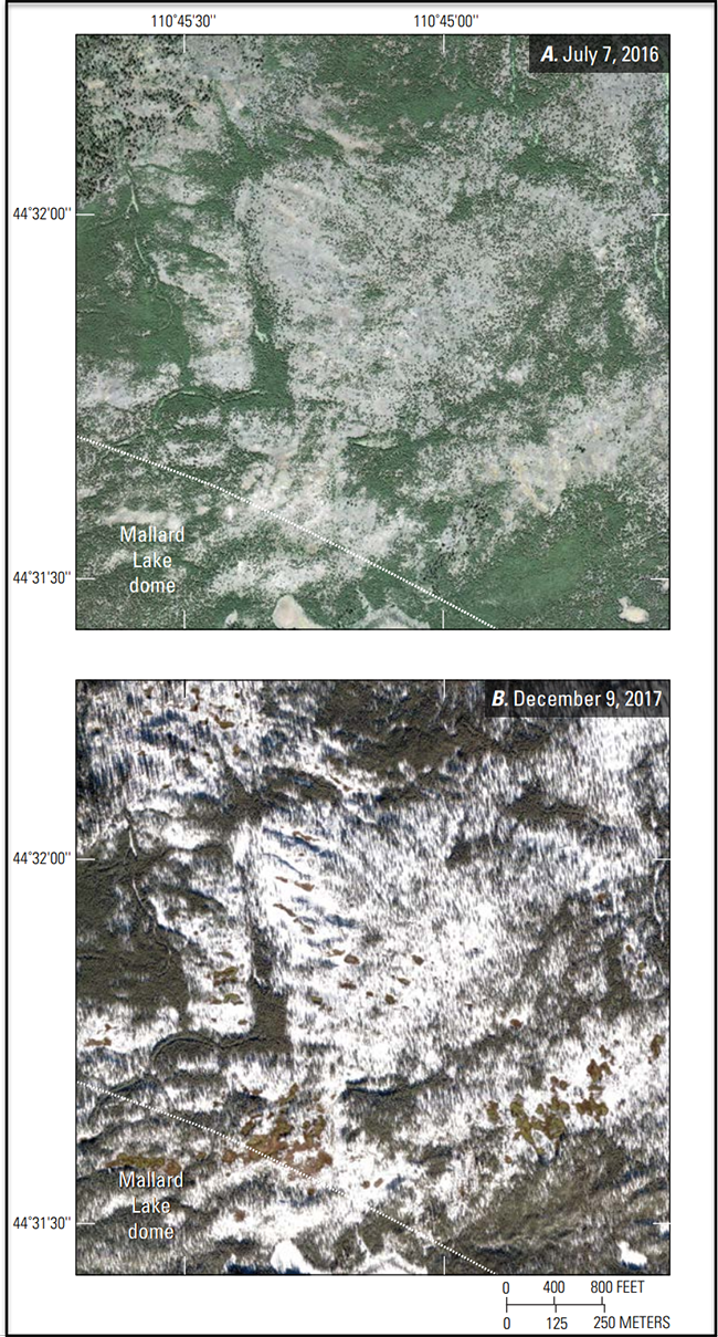 Satellite imagery of previously unidentified thermal areas at Mallard Dome, Yellowstone National Park / YVO 2021 Annual Report