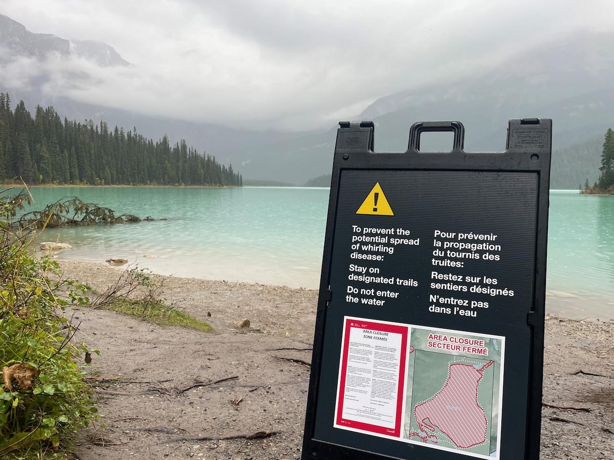 Lakes have been closed in Soho National Park and Kootenay National Park due to suspected whirling disease.