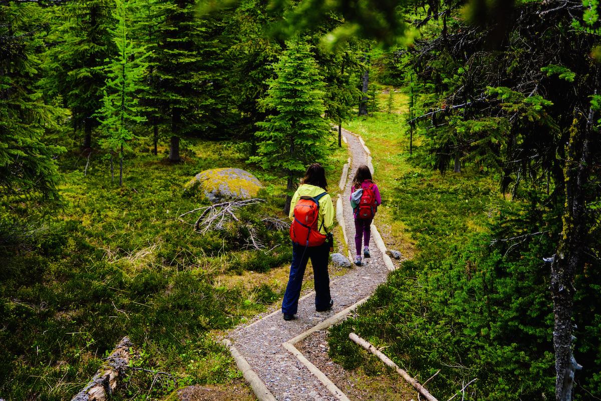 Hiking in the alpine environment of Lake O'Hara in Yoho National Park. Hiking in the alpine environment of Lake O'Hara in Yoho National Park.