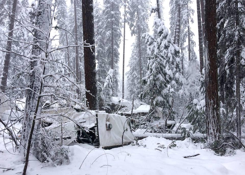 A tent cabin is crushed by a fallen tree (Half Dome Village is currently closed, 