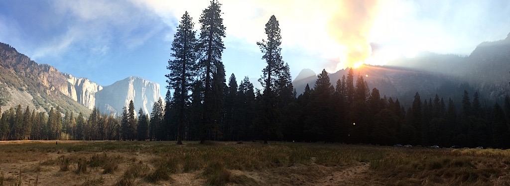 Does the National Park Service need to log Yosemite to protect it from wildfire?/Rhea Cone file