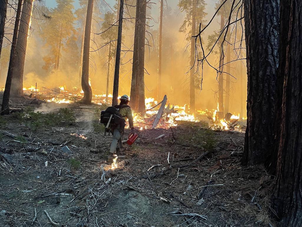 Firefighters set back fires near the south entrance of Yosemite National Park to deprive the Washburn Fire of fuel/NPS