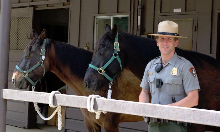 Drifter and Sandman are two mustangs that have been trained to work with rangers in Yosemite National Park/NPS