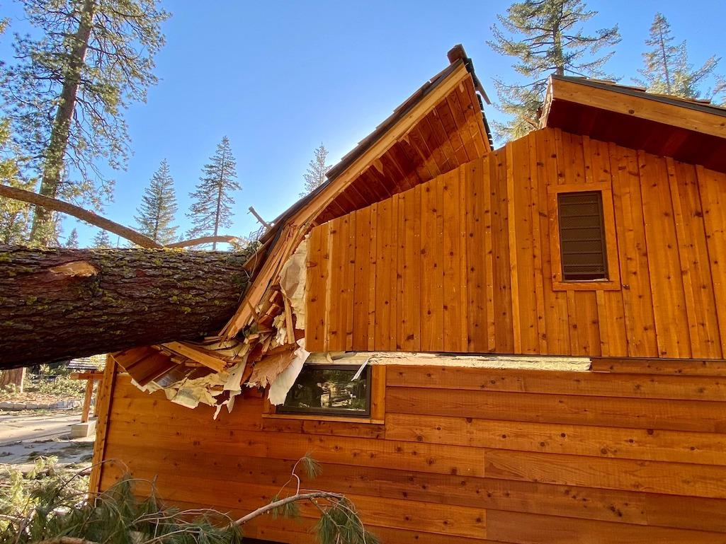 The restroom building in the Mariposa Grove was damaged by a tree during the Mono wind e