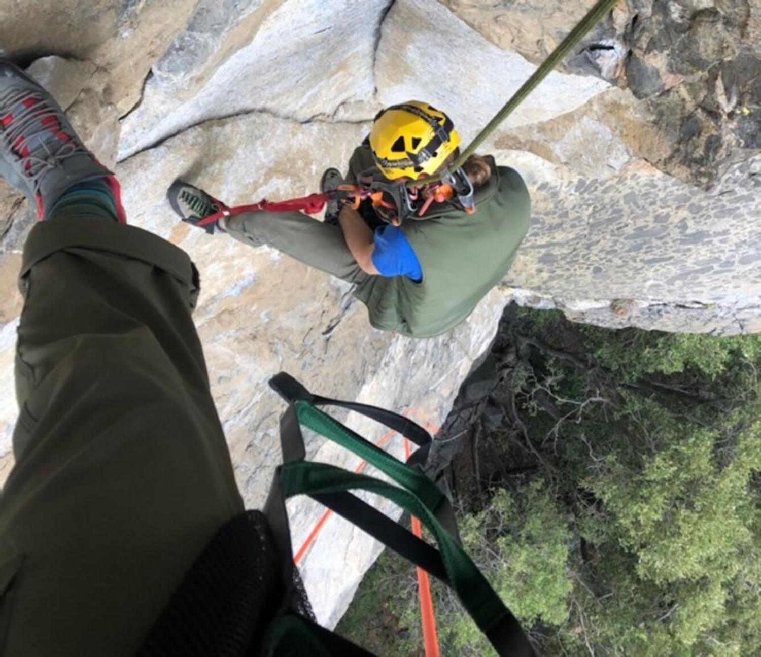 A climber above the valley floor in Yosemite searching for a bat roost as part of a study tracking bats and locating and describing their roosts, which can be high on Yosemite's cliffs.