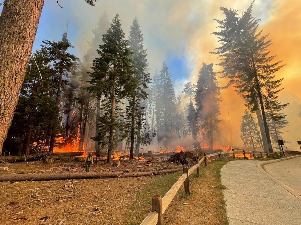 A wildfire was burning Friday near the Mariposa Grove of Giant Sequoias in Yosemite National Park/NPS