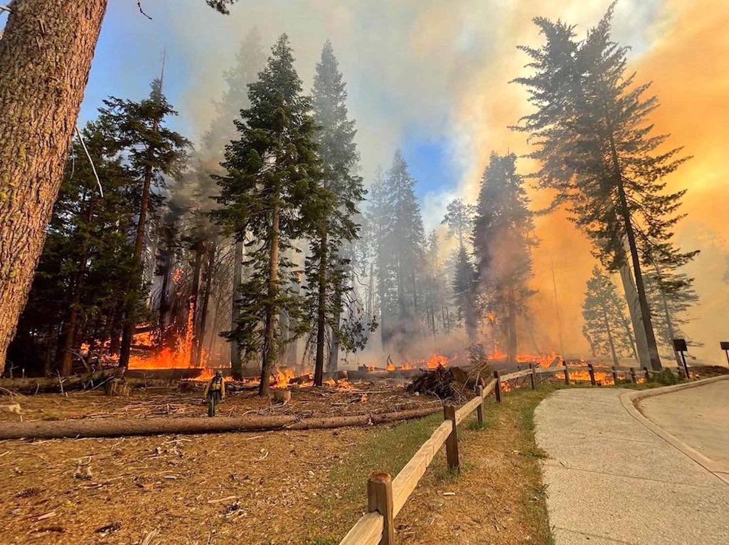 Wildfires, such as the Washburn Fire that threatened Yosemite's Mariposa Grove of Giant Sequoias, are a growing threat to the park system/NPS file