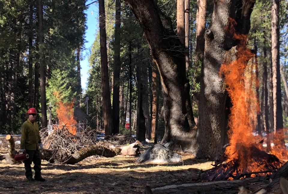 Fire management in Yosemite National Park / NPS file