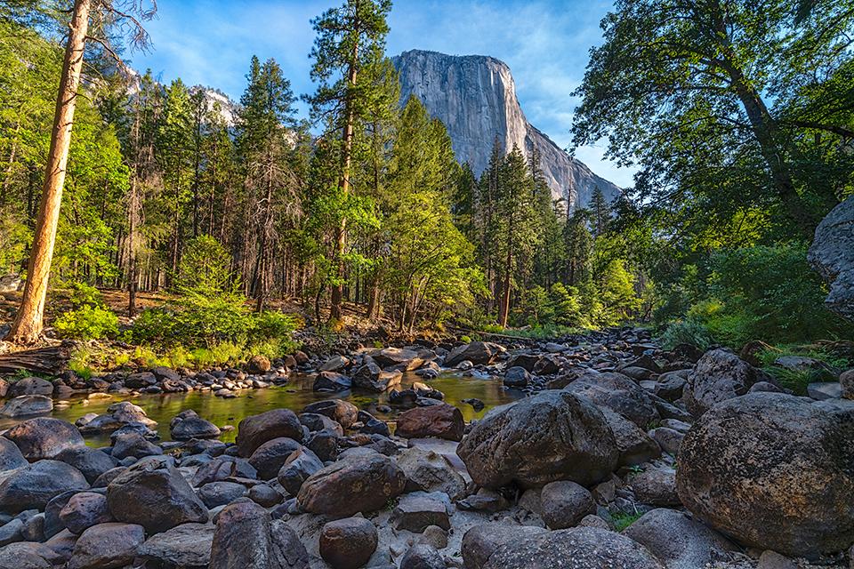 The Merced River and Yosemite Valley landscape, Yosemite National Park / Rebecca Latson