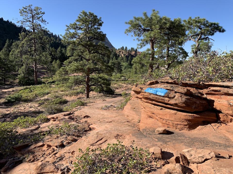 Vandals with a bucket of blue paint vandalized sandstone in Zion National Park/NPS