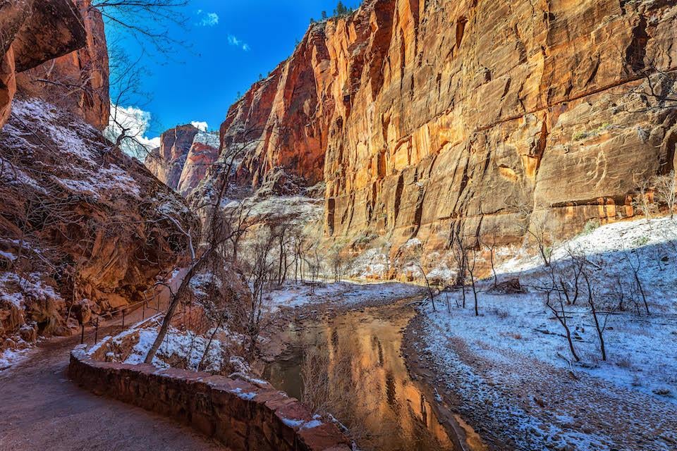 You likely won't see Riverside Walk in Zion National Park this empty of humans during President's Day Weekend/Rebecca Latson