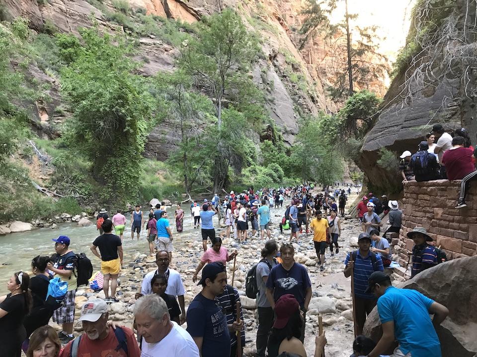 Crowds packed The Narrows this summer at Zion National Park/NPS