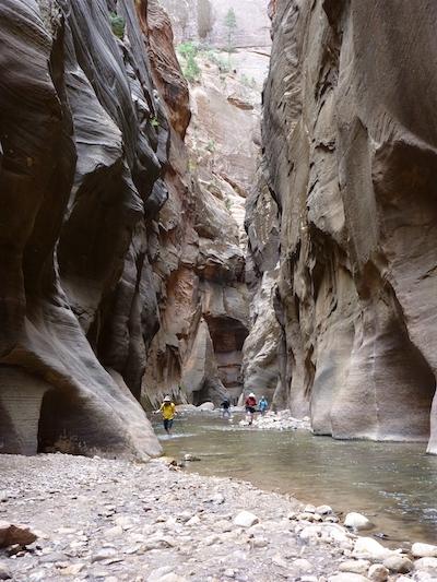 When water flows are low the Narrows slot canyon at Zion is a popular hike, but flash floods can turn it deadly./NPS