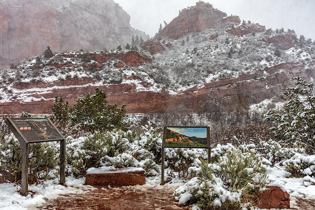 A snowy spring day in Kolob Canyon, Zion National Park / Rebecca Latson