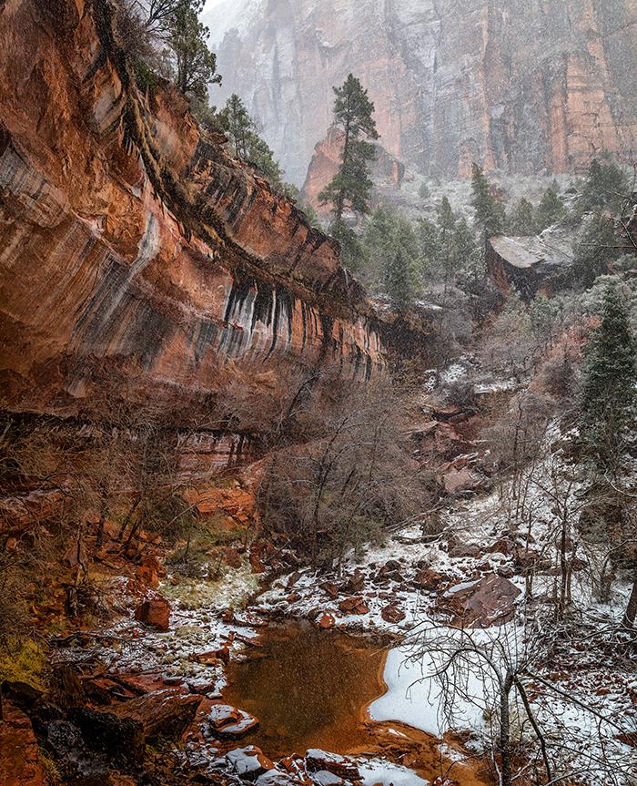 Snow falling at Lower Emerald Pool, Zion National Park / Rebecca Latson