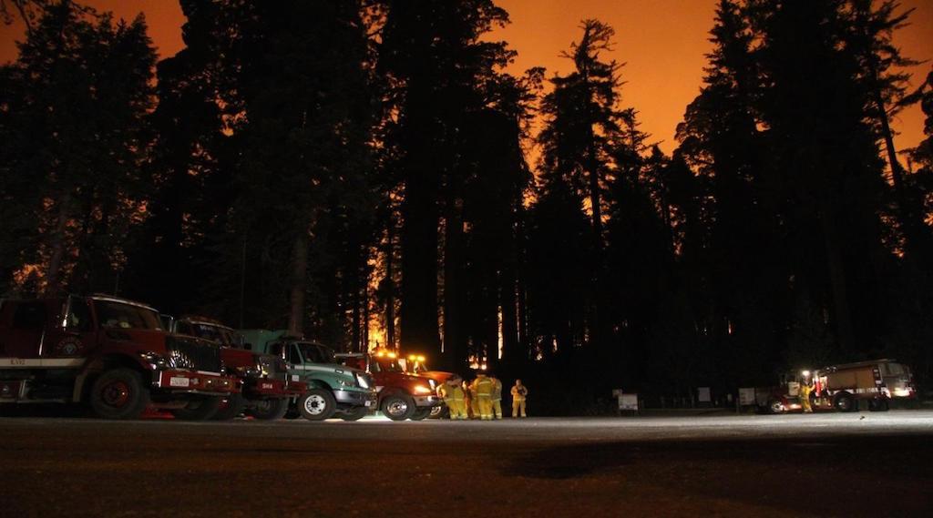 Sequoia and Kings Canyon national park officials hope to avoid a repeat of this scene/NPS file