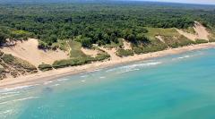 Eastern coast of Indiana Dunes National Lakeshore, by Costa Dillon