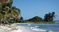 Laughing Bird Caye NP, copyright Kurt Repanshek