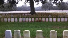 A fawn rests against headstones at the rear of section H in the national cemetery, Andersonville National Historic Site