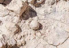 A spherical, bright beige-white fossil dung beetle ball, Badlands National Park