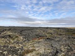 A vast expanse of lava rock covers the tundra, small plants and lichen are reclaiming the lava field at Bering Land Bridge National Preserve