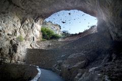 Bat "outflight" at Carlsbad Caverns National Park/NPS