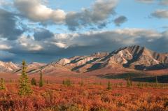 Blue sky and clouds over mountains and a vibrantly red field, Denali National Park and Preserve
