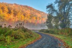 Sunlight shining on the colorful autumn-leafed trees, and mist near the ground in front of the leading line of the McDade Recreational Trail in the Delaware Water Gap National Recreation Area