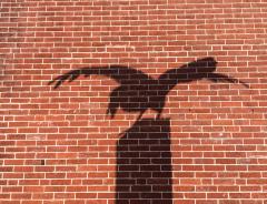 Shadow of a raven statue on a brick wall at Edgar Allen Poe National Historic Site