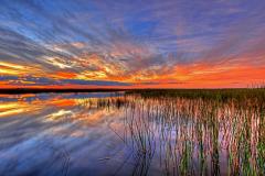 Brilliant blues and oranges of a sunset at Everglades National Park