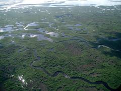 An aerial view of the snaking waterways and green landscapes of Everglades National Park, located in Florida