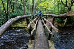 A person walking near the end of a wooden bridge along the Cataloochee Hiking Trail in Great Smoky Mountains National Park