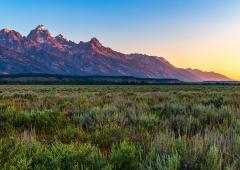 The first yellow rays of a summer sunrise touching the foot of the Grand Teton Mountains in Grand Teton National Park