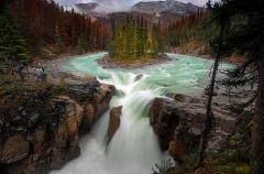 A small island of trees surrounded by cold teal-blue water that becomes Sunwapta Falls, Jasper National Park