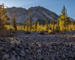 A streak of bsunlight turns the line of trees a bright yellow-green, dividing Chaos Crags from the jumble of rocks created by an avalanche in Lassen Volcanic National Park