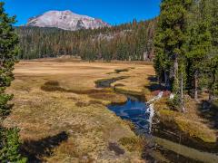 A meandering creek over a meadow of golden grass with a forested hill and Lassen Peak in the background, Lassen Volcanic National Park