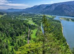 A high view from the top of Beacon Rock overlooking the Columbia River and a green swath of forest along the Lewis and Clark National Historic Trail