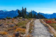 Skyline Trail in the Paradise area of Mount Rainier National Park makes a nice leading line toward mountain scenery in Washington State